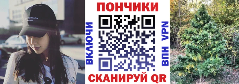 цены наркотик  Сясьстрой  Шишки марихуана Ganja 
